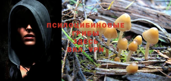MDMA Белокуриха