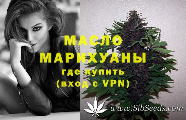 стаф Надым