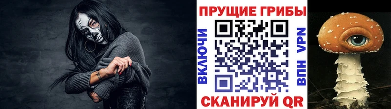 где можно купить наркотик Салаир Псилоцибиновые грибы Cubensis